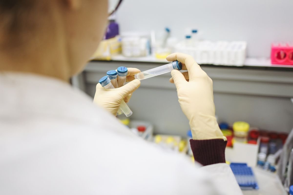 Laboratory technician inspecting samples for quality control